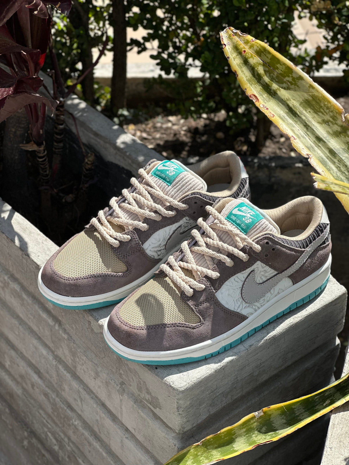 Nike SB Dunk Low Pro | Big Money Savings