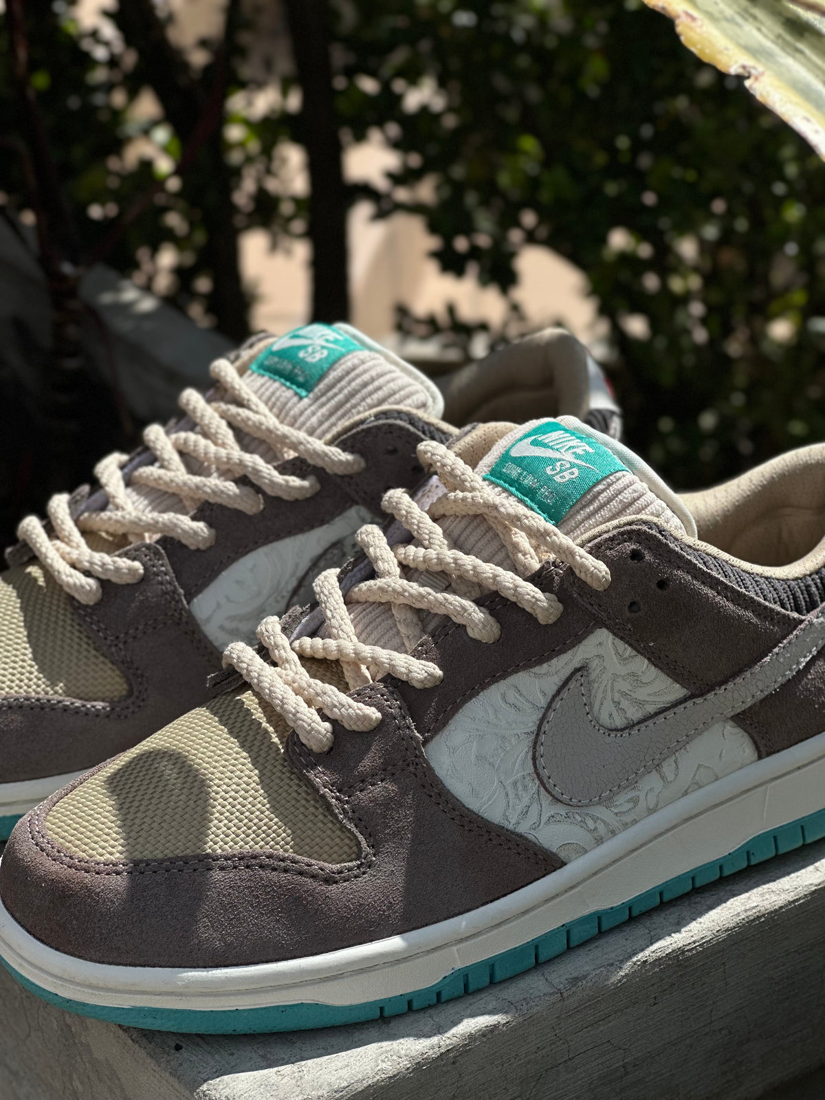 Nike SB Dunk Low Pro | Big Money Savings