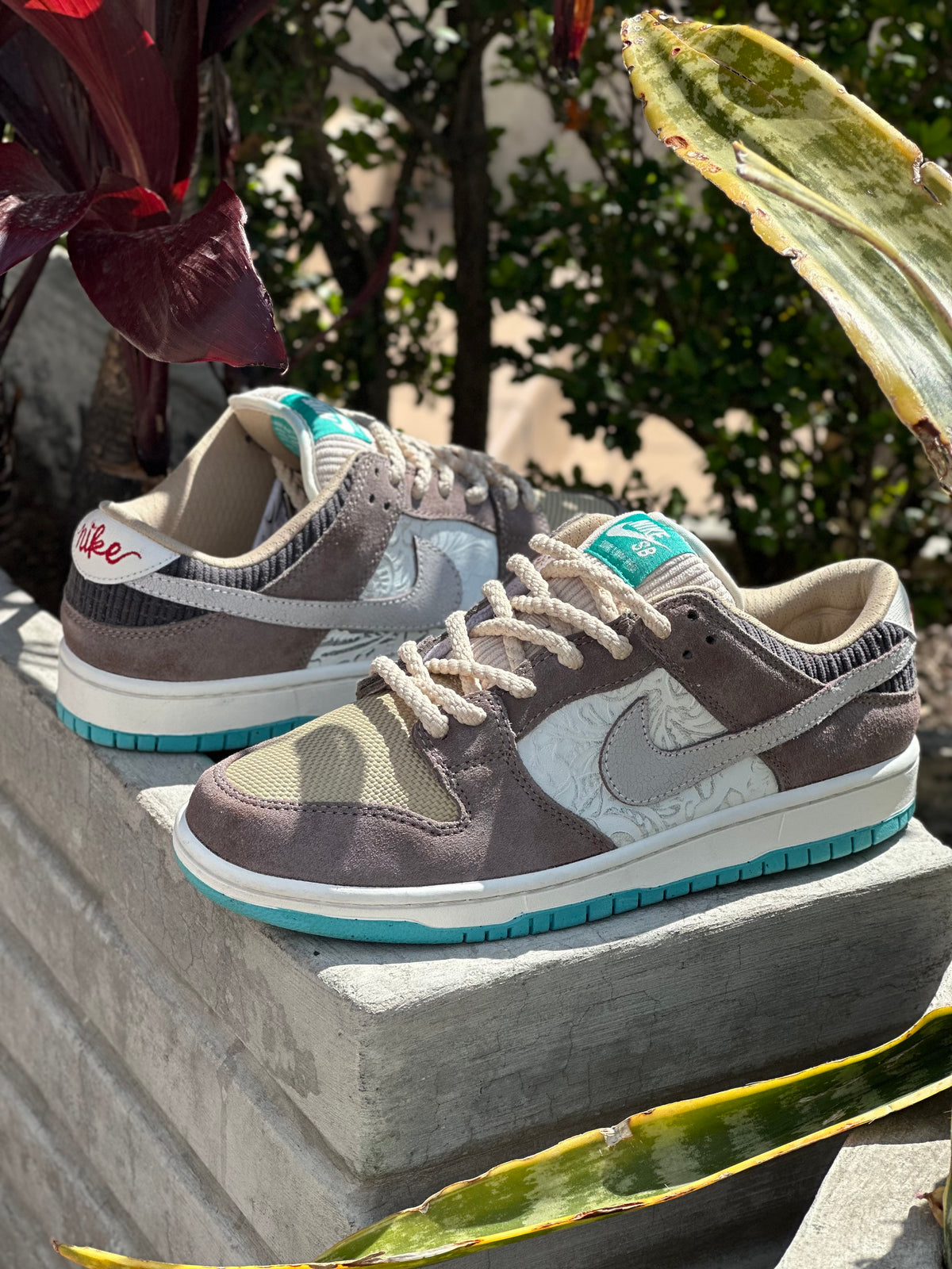 Nike SB Dunk Low Pro | Big Money Savings