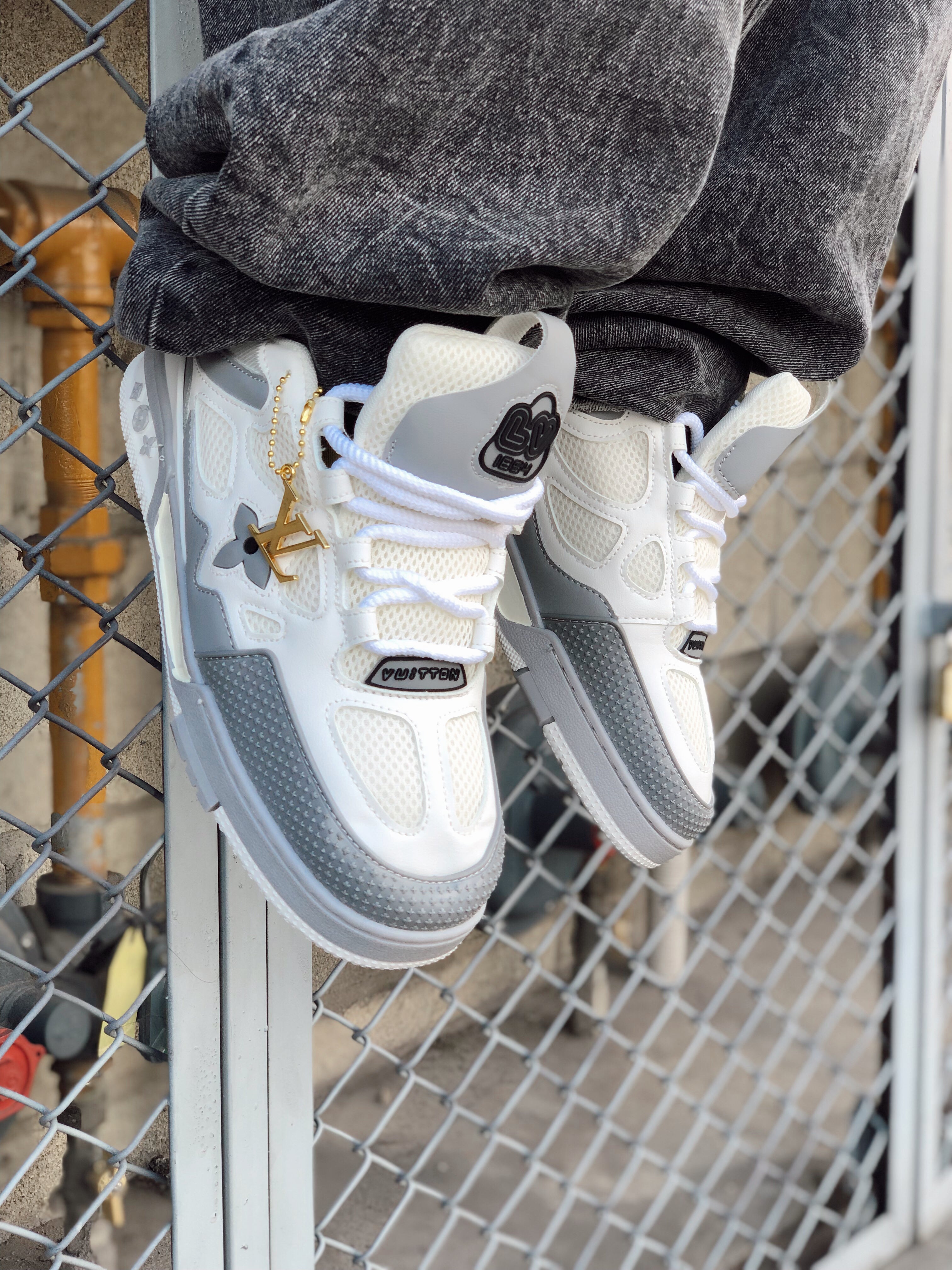Louis Vuitton Skate