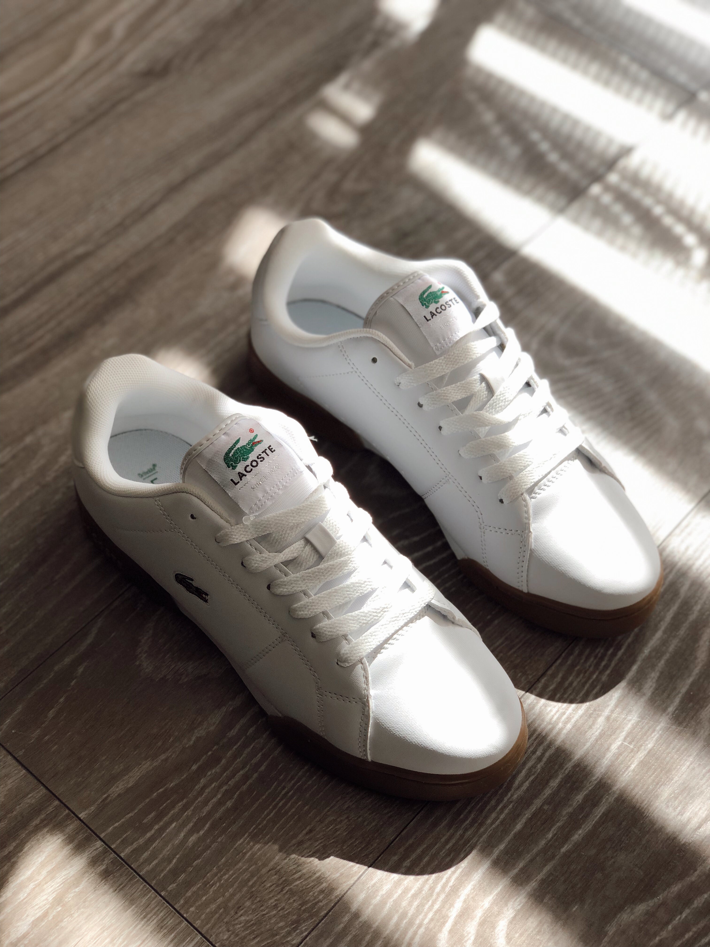 Lacoste Canarby Cup