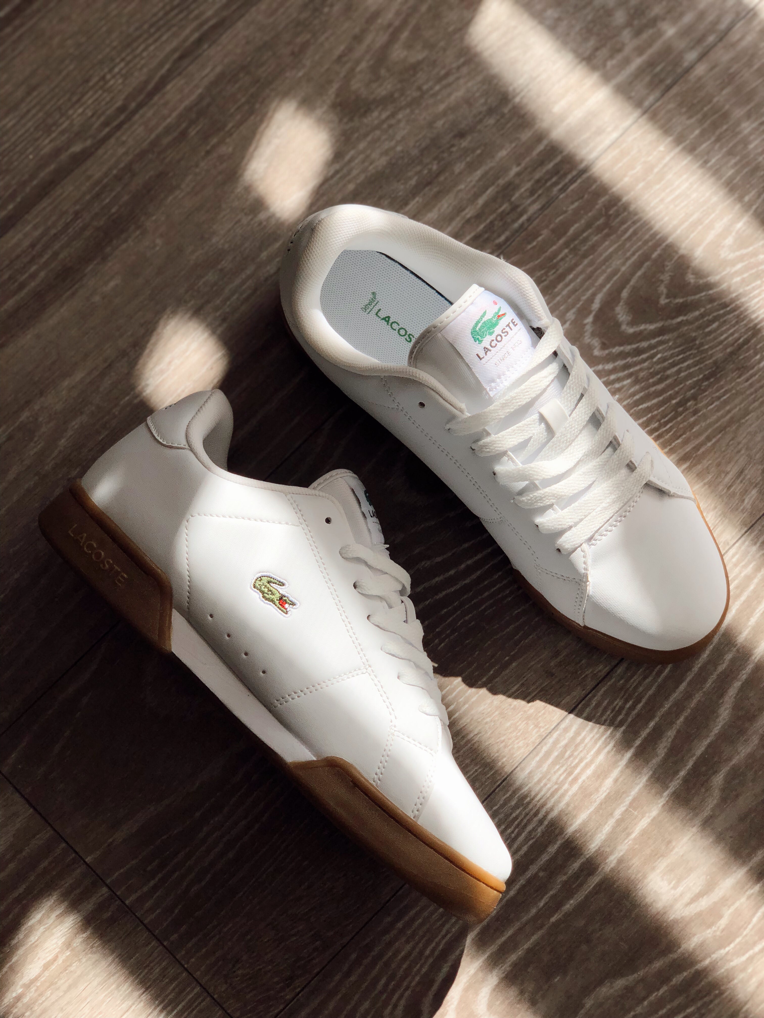 Lacoste Canarby Cup
