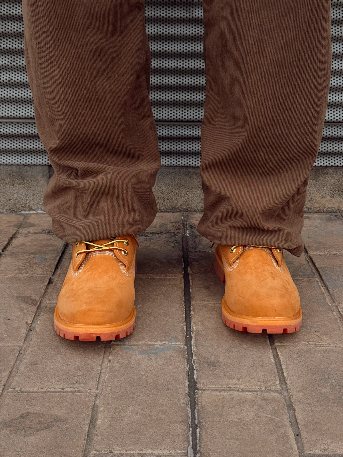 Timberland Bota Impermeable | 6 Pulgadas