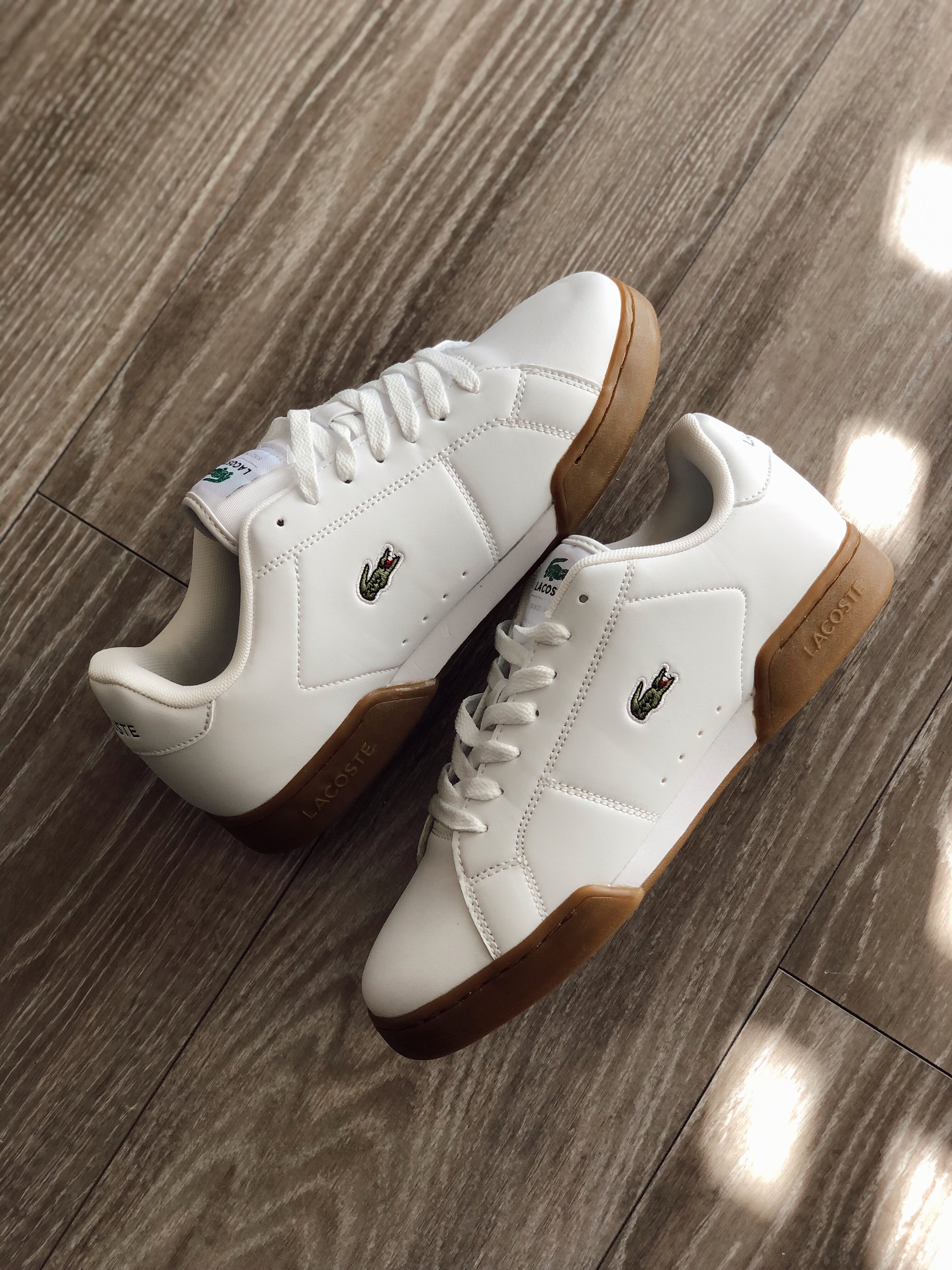 Lacoste Canarby Cup