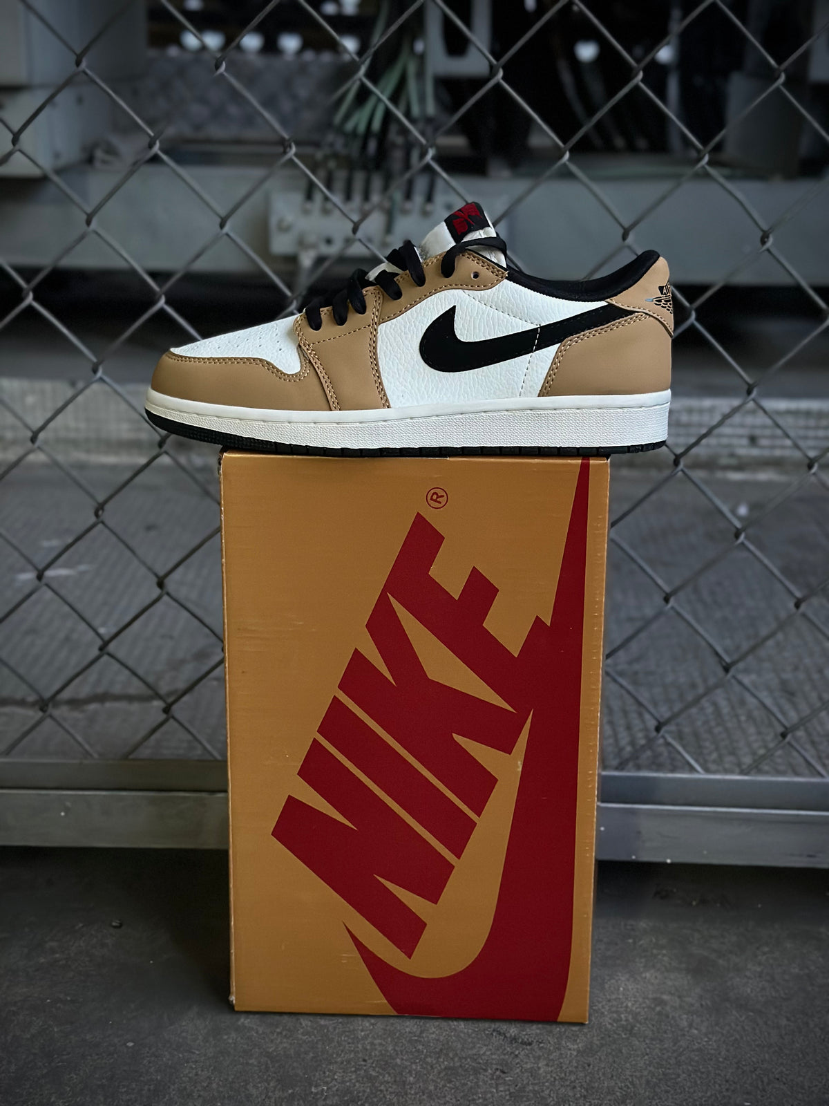 Air Jordan 1 Retro Low OG Rookie
